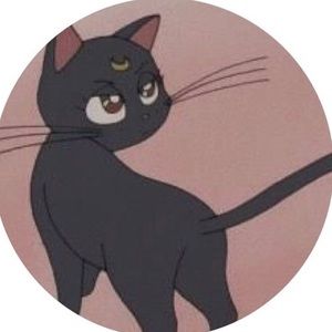 Meet your Posher, Quinn